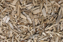 biomass boilers Vale
